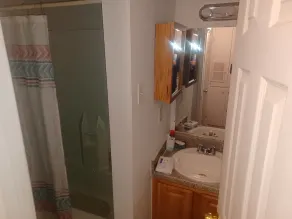 Entire Apartment Suite - Image 4