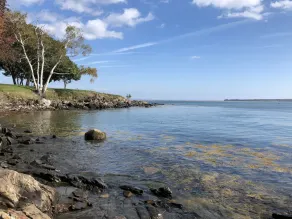 Oceanfront Condo overlooking Rockland Harbor and pier. Permit#STR22-30 - Image 4