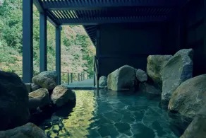 ESPACIO The Hakone Geihinkan Rin-Poh-Ki-Ryu - Image 5