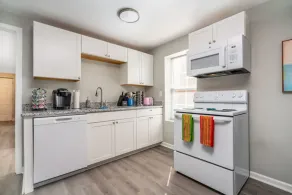 Plush 1 bed APT near Five Points! Bring your pets! - Image 5