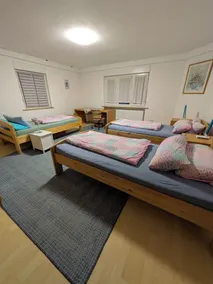 Comfortable apartment Steger on the ground floor - Image 5