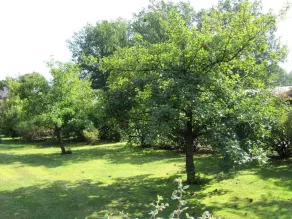 Oásis de paz, férias na natureza com muitos extras, sauna e finlandesa. banheira de hidromassagem - Image 4