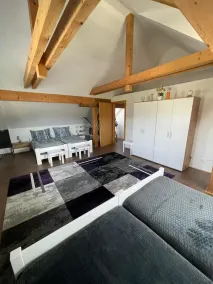 Haus Kampl - Apartamento Ödensee - en el centro de Estiria Salzkammergut - Image 3