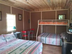 Pet friendly Camping cabin  close to Buffalo River - Image 5