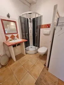 Estate, pretty farm 180m2 4 bedrooms with shower room, swimming pool, woods and private lake, fishing - Image 4