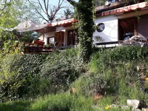 Bungalow on the outskirts with a terrace under tall trees - Image 5