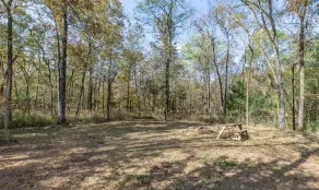 Cabin in the woods - Image 5