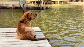 Lakefront Home - Private Dock, Kayaks, Game Room, Fire Pit, Pet-Friendly - Image 2