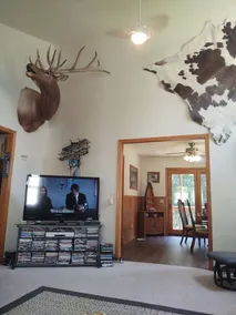 Fishing, Boating, Golf , Hunting - perfect getaway. Near Augusta for Masters - Image 4