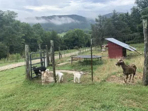 Breathtaking Mountainside Farm Resort -10 min to VA TECH, 20 to Aquatic Center - Image 2