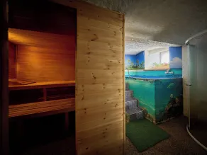 Pool & Sauna Vrchlabi by Interhome - Image 3