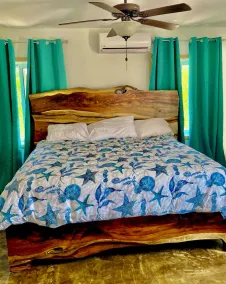 Hollow Tree Casita  2 Bedroom Swank Container House Very Private Jungle View. - Image 4
