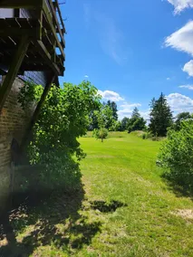 Holiday house - Holiday house at the Müritz-Elde waterway - Image 4
