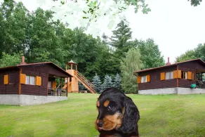 La cabina Hideaway Ash Log in Trnavka lago, foreste e montagne, gli animali domestici - Image 5