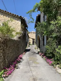 Charming stone Mas in the Cevennes, with  fabulous private pool and terrace - Image 5