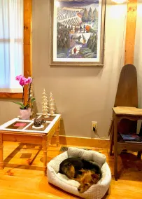 Almost Heaven - Quiet Mountain Home - Image 3