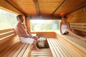 \"Apollo\" in the oasis of well-being on the Trausdorfberg with sauna/whirlpool - Image 2
