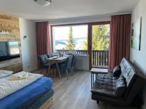 Renovated 1-room apartment - Image 4
