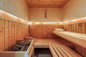 Villa with swimming pool, sauna and indoor pool - Image 2