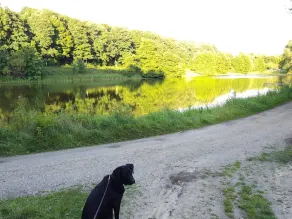 4 star holiday home in Brønderslev - Image 3
