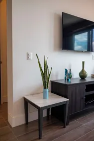 Comfortable and luxurious brand new condo in the heart of Tijuana - Image 2