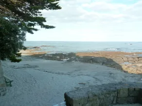 Your garden: the beach  - Image 5