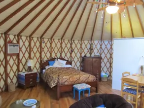 Yurt Floating in the Forest - Image 3