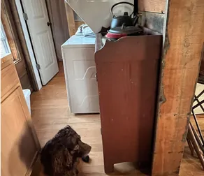Dogs Love The Tack Room Private Cottage in Camden SC Horse Country - Image 2