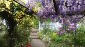 Luxury, Family Friendly,  Self-Contained B&B in the Heart of the Huon Valley - Image 2