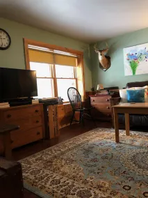 A perfect, quiet baseball rental in the woods near Cooperstown, NY - Image 3