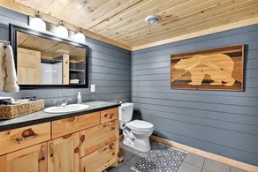 Family Log Cabin - Lake, Golf, Pool, Hike, Ski-ATV & Game Room - Northwoods WI - Image 3