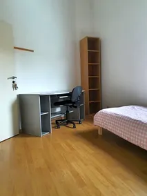 Vivacity - Image 3