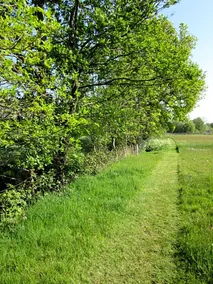 Hústerheide - Image 3