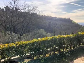 VillaFrancesca&Gioia - Image 5