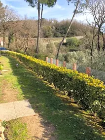 VillaFrancesca&Gioia - Image 3