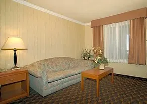 Comfort Inn & Suites Lax Airpo - Image 5