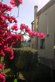 Casa Vacanze Menta Fiorita - Image 5