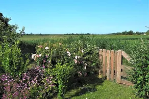 Wadden Weiland Bed En Breakfast Op Texel - Image 4