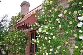 The Heritage Garden - Image 2