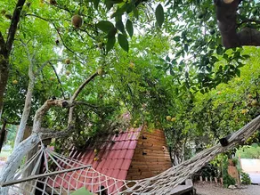 Litost cafe bungalow - Image 2