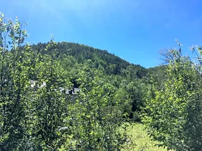 Au Bord De L'eau - Image 4