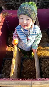 Wendron Plant Nursery Lettings - Image 5