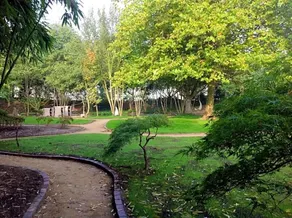 Paradiso Park - Image 2