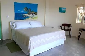 Pacific Nomads Earthbag House - Image 4