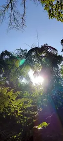 Na Mata Chalés - Image 5