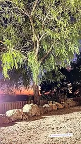 B&B SIKELIA - Image 2