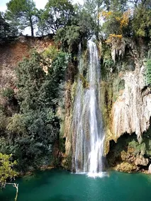 la Mésange Bleue du VERDON - Image 5