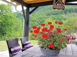 Chalets Lavaux - Image 3
