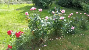 Kinne-Vedum Bed and Breakfast - Image 3