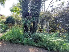 Palmetta Cottage - Image 5